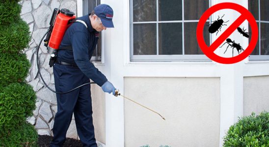 Erciş Dezenfeksiyon böcek ilaçlama ve haşere kontrolü — ilaclama-tr.com